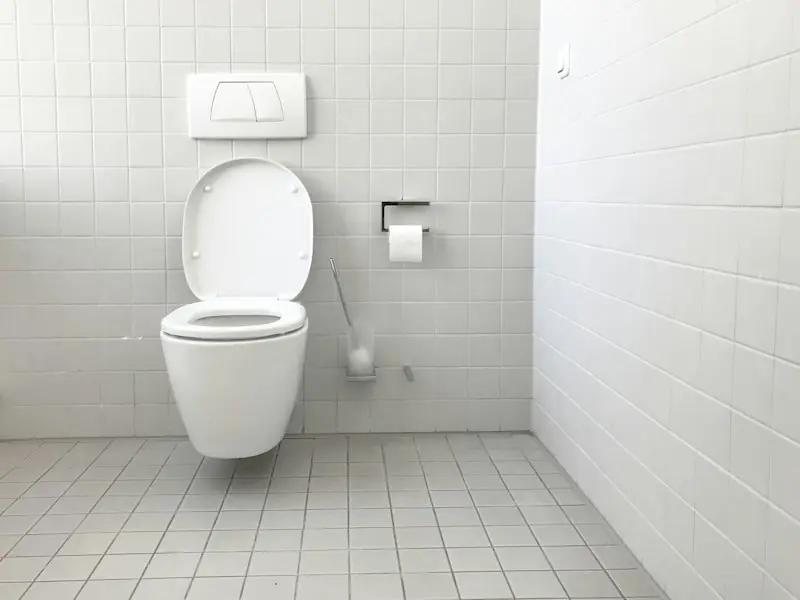 Rimless Wall-Hung WC